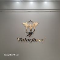 ��ɫ���治��ֹ�˾����