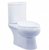 WC 1040 / LC 5019 Carbene 6L Single Flush Close-Coupled Washdown Pedestal WC Suite  Soft-Close Seat