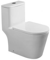 CARRARA One Piece Water Closet Rimless Washdown with Tornado Flush   Dual Flush, Soft Close Seat, S-Trap 250mm  Abagno