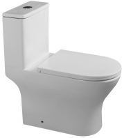 AVERSA One Piece Water Closet Rimless Washdown   Dual Flush 5L/3L with Soft Close Seat & S-Trap 300mm