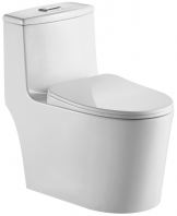 BOLOGNA One Piece Water Closet Rimless Washdown   Dual Flush, Soft Close Seat  Abagno