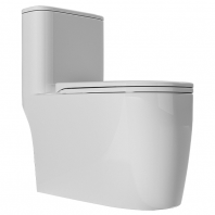 PALERMO One Piece Water Closet, Rimless Siphon Jet | PP Soft Close Seat & Dual Flush | 305mm S-Trap
