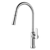 SHM-181P-CR Single Lever Kitchen Sink Mixer Tap with Pull-Out & Double Spray   Brass Chrome Finish