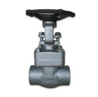 Arita Forged Stainless Steel Globe Valve Class 800