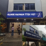 3D Frontlit Box Up Lettering | Light Box Based