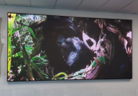 W 3.52M X H 1.76M P2.5H INDOOR LED DISPLAY BOARD (FULL COLOUR)