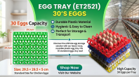 EGG TRAY (ET2521) 30'S EGGS