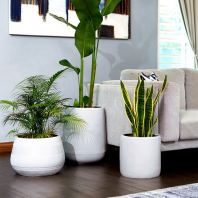 Fiberglass Planter Fiberglass Planter