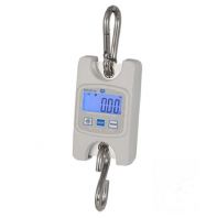 Calibration of Digital Hanging Scales