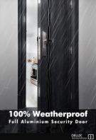 ALUTECH Security Door