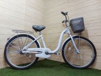 24" City Bike Raccoon