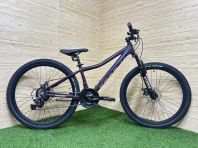 26" MTB Alloy 21s Raleigh Storm