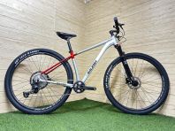 29" MTB 1x12s Raleigh Enduro