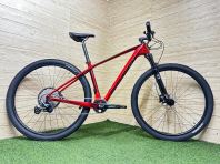 29" MTB Carbon 1x12s Raleigh Velos