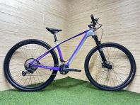 29" MTB 2x12s Carbon Raleigh Pro