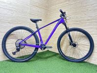 29" MTB Carbon 12s Deore Raleigh RS