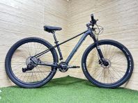 29" MTB Alloy 11s L-TWOO Raleigh