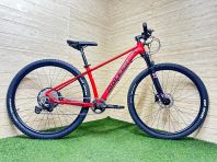 29" MTB Alloy 12s Raleigh Lusso