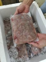 Isi Ikan Tenggiri Beku