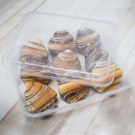 Rectangular Container with Lid