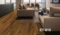 ET-815 ET-815