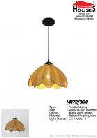 HANGING 14172-300