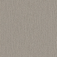 HCZ600P-341 ֯��