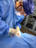 Soft Tissue Surgery (Basic-Advance)