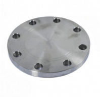 10" TE BLANK FLANGE (NO. OF BOLTS: 10)
