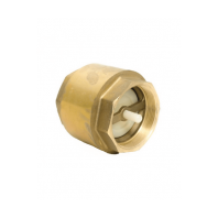 3/8" BRASS SPRING CHECK VALVE
