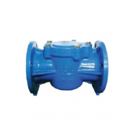 4" D.I. D/F T-POST STRAINER BS5163