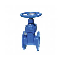 6" C.I. GATE VALVE (TE FLANGE)