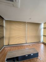 Zebra Blind