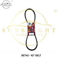 BET42 - 42" BELT