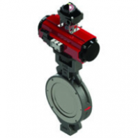 Sterilizer HP Butterfly Valve