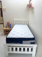 SWEET HOME GOLD High Quality Single Spring Mattress | Firm Mattress Single Bed Malaysia | Tilam Spring Single Berkualiti Tinggi | Tilam Bujang Firm Dan Selesa | Deliver Penang, Bertam, Kulim, Georgetown, Andaman Island, Tanjong Tokong