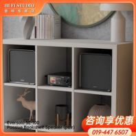 Eversolo SE-100 Passive Bookshelf Speaker (pair)