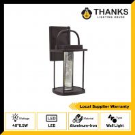TD-202507-30B LED WALL LIGHT