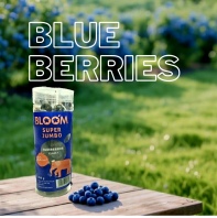BlueBerries