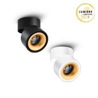 Modern Foldable LED Surface Downlight