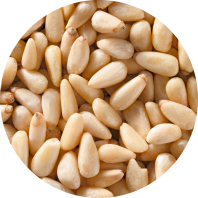 PINE NUT 1KG