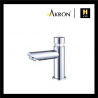 Akron CP brass delay action self closing tap AGD08T