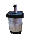 20MR6.3X712GF Hydraulic Gear Motor 