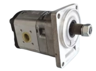 PLM20.16R5-55B2-LOC/OC-NLD Cassapa Hydraulic Gear Motor 