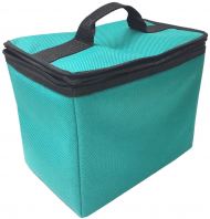 Cooler Bag (B0519-2) - Perfect for food & beverage companies, catering services, promotional giveaways, and retail packaging