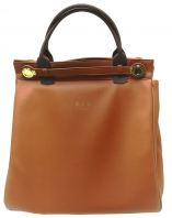 Carry Bag (B0823) - Spacious storage capacity for shopping, corporate, and personal items