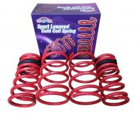 NAZA RIA COLD COILING LOWERED SPRING