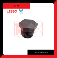 PVC SCH80 Plug (Mipt)