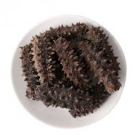 ���� Sea Cucumber