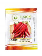 F1 Hybrid Chili Kulai 6682 Seed Benih (10gm)